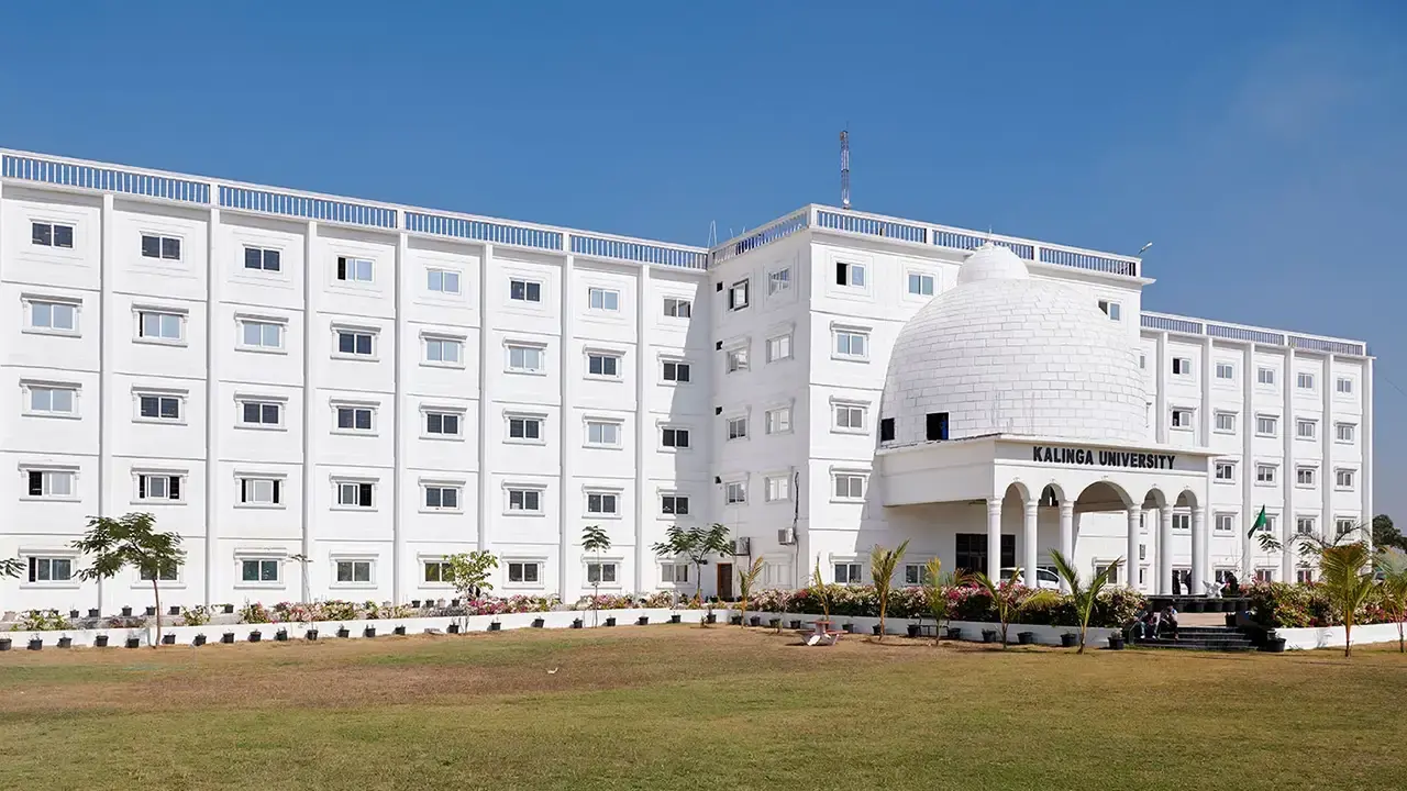 Kalinga University Engineering
